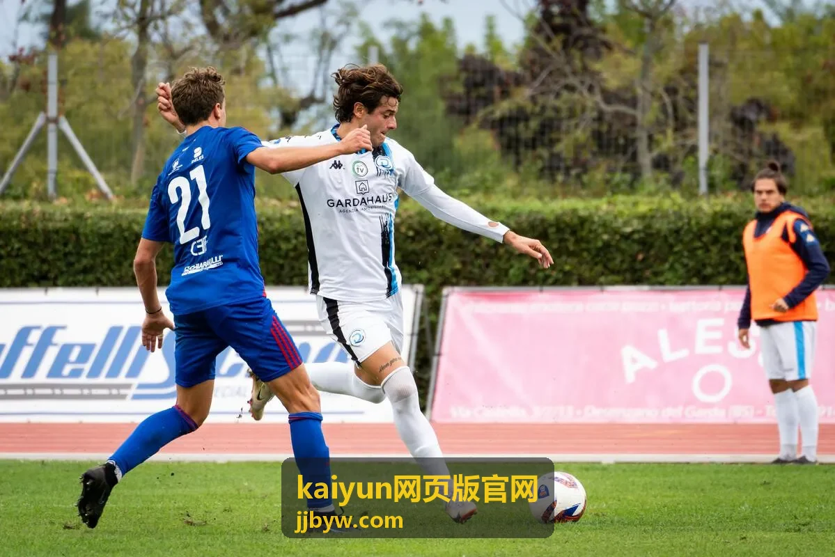 kaiyun网页版官网版本更新资讯封面