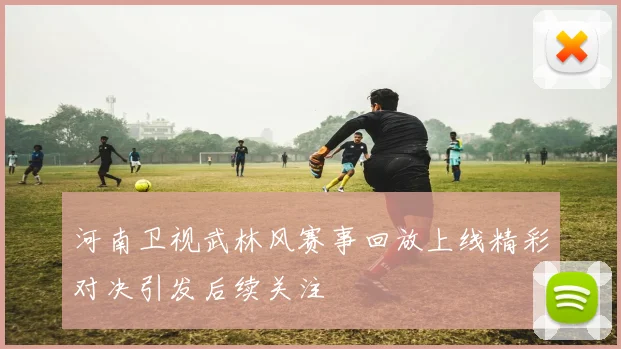 河南卫视武林风赛事回放上线精彩对决引发后续关注