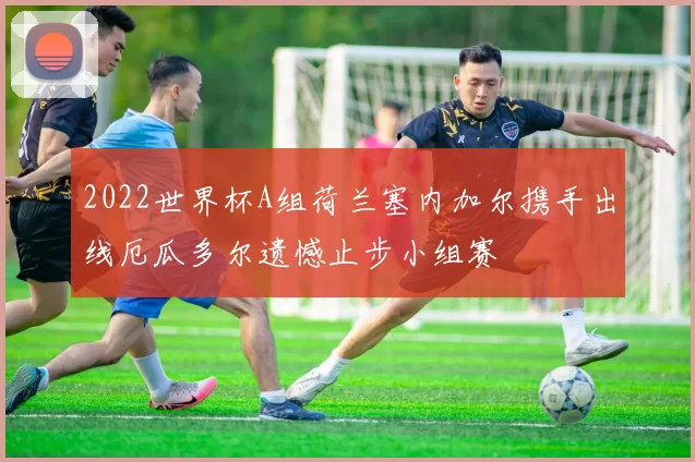 2022世界杯A组荷兰塞内加尔携手出线厄瓜多尔遗憾止步小组赛